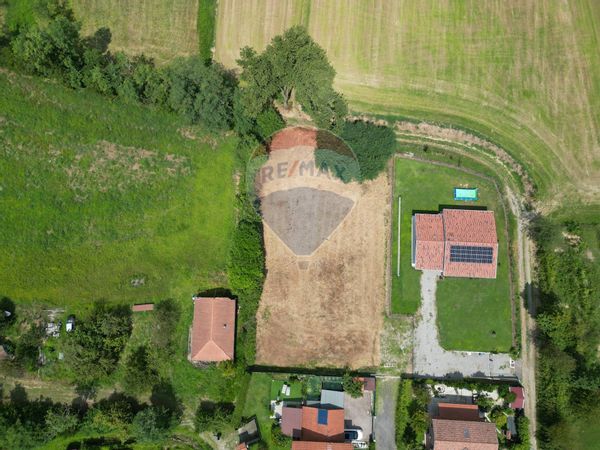 Terreno Edificabile Divignano, NO Vendita
