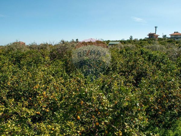 Rustico Sant'Anna, Mascali, CT Vendita - Foto 3