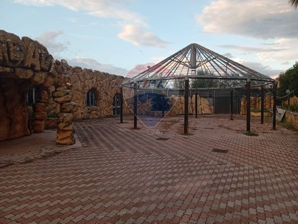 Ristorante Frascati, RM Affitto - Foto 2