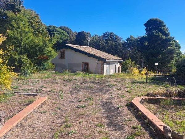 Villa singola Pedara, CT Vendita - Foto 2