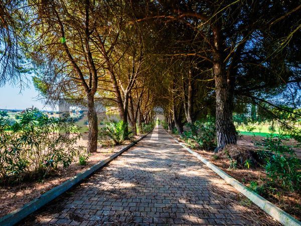 Villa singola Grammichele, CT Vendita - Foto 4