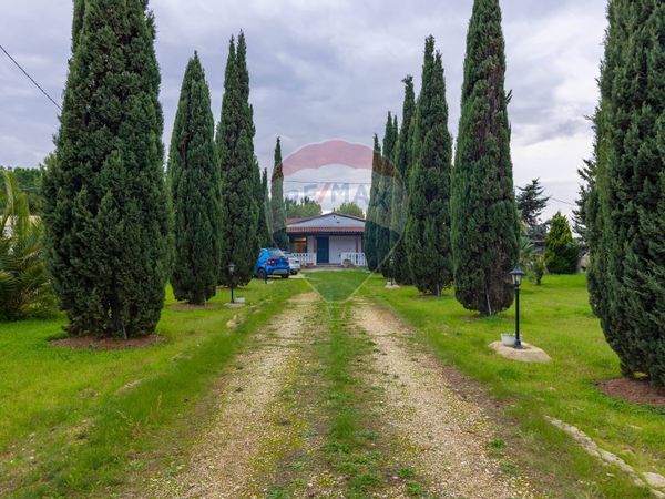 Cascina/Casale Mola di Bari, BA Vendita - Foto 4