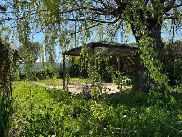 Casa Indipendente Calvi, BN Vendita - Foto 4