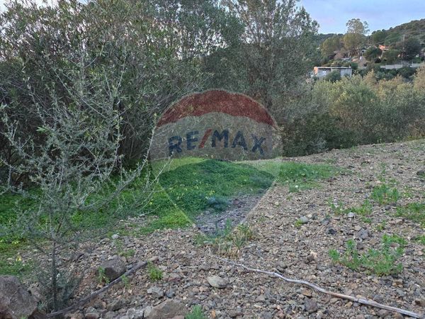 Terreno Dolianova, SU Vendita