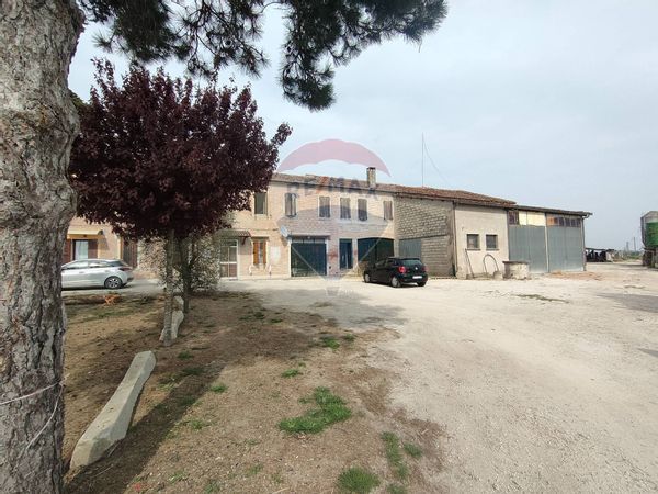 Casa Semindipendente Jolanda di Savoia, FE Vendita - Foto 4