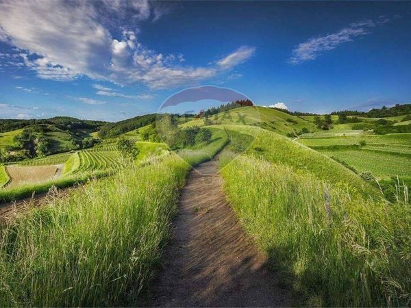 Terreno Serravalle, SM Vendita - Foto 3