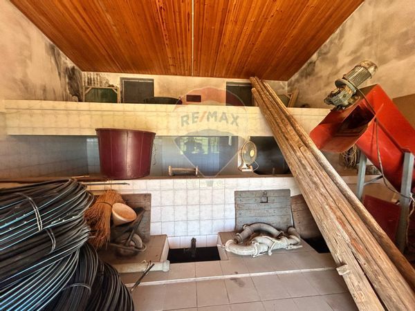 Cascina/Casale Noto, SR Vendita - Foto 4