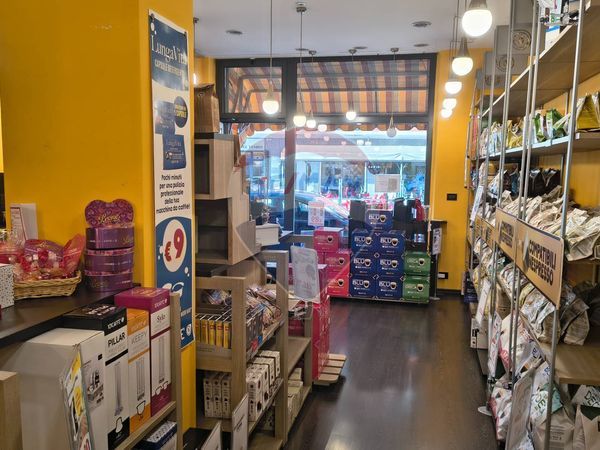 Attività  Commerciale Orbassano, TO Vendita - Foto 2