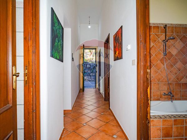 Appartamento Trecastagni, CT Affitto