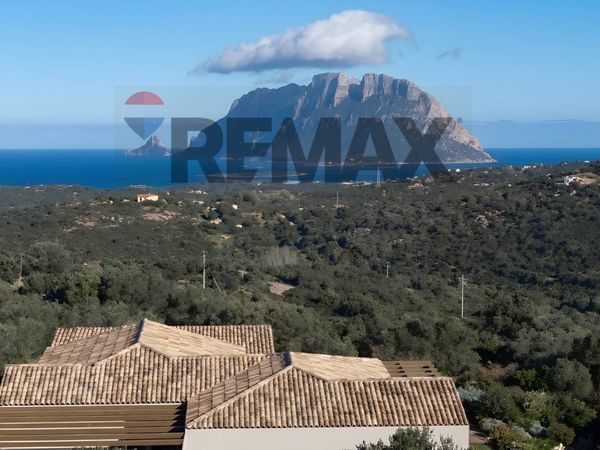 Villa singola Loiri Porto San Paolo, SS Vendita - Foto 4