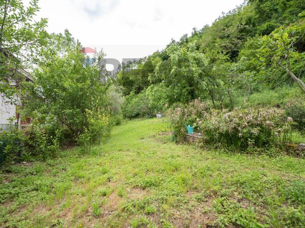 Casa Indipendente Serra San Quirico, AN Vendita - Foto 3