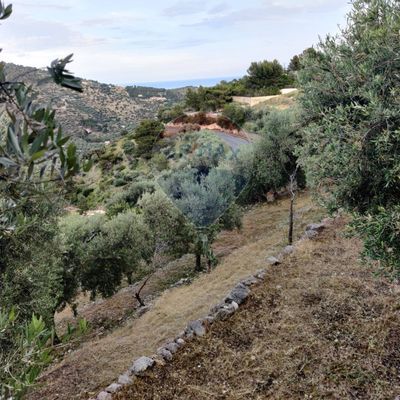 Rustico Mattinata, FG Vendita - Foto 3