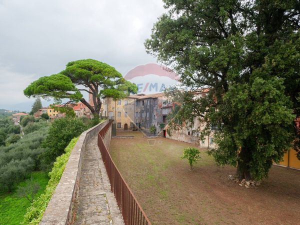 Castello Montecarlo, LU Vendita - Foto 2