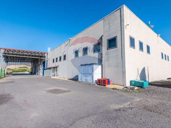 Capannone Industriale Mineo, CT Vendita - Foto 4