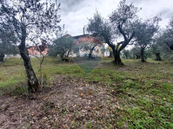 Casa Indipendente Beltiglio, Ceppaloni, BN Vendita - Foto 3