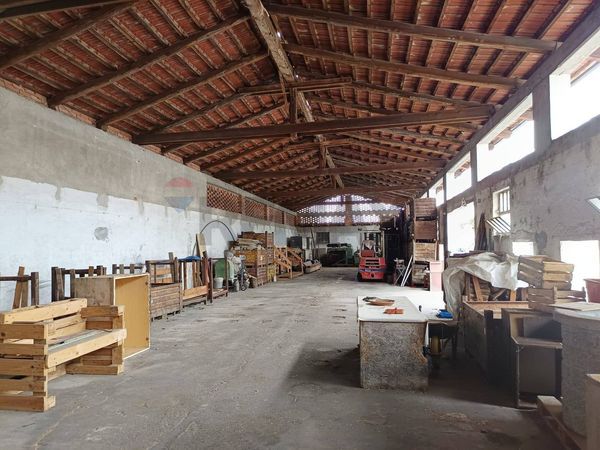 Capannone Industriale Casevecchie, Piscina, TO Vendita - Foto 3