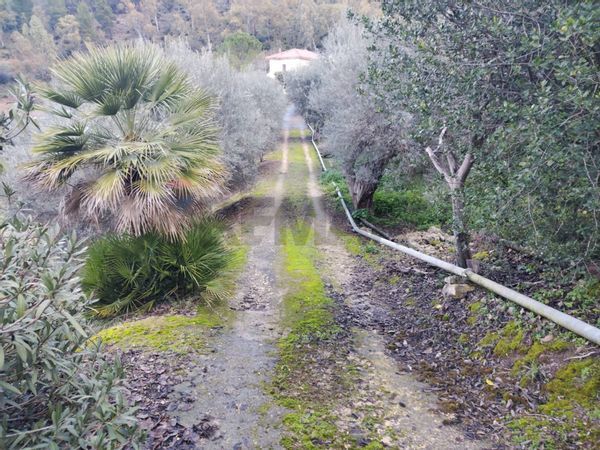Cascina/Casale Mineo, CT Vendita - Foto 2