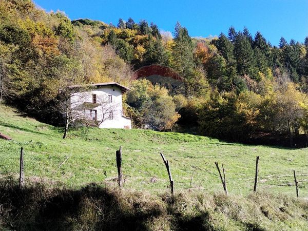 Casa Indipendente Valle, Seren del Grappa, BL Vendita - Foto 4