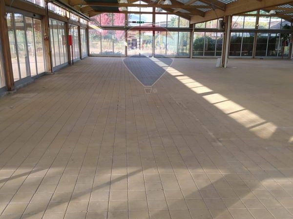 Capannone Industriale Vigliano Biellese, BI Vendita