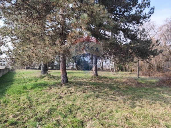 Residence Frossasco, TO Vendita - Foto 2