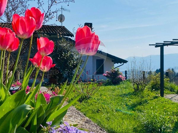 Casa Indipendente Cargiago, Ghiffa, VB Vendita - Foto 3