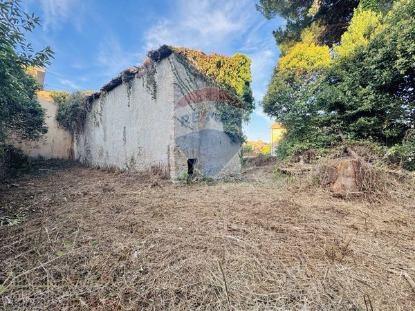 Rustico Manziana, RM Vendita