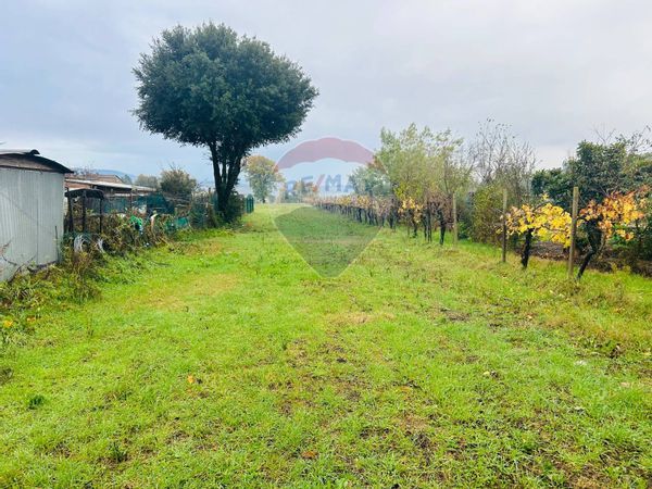 Porzione di casa Fratta Todina, PG Vendita - Foto 4