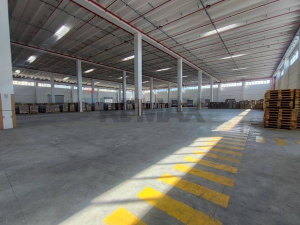 Capannone Industriale Nola, NA Affitto - Foto 4