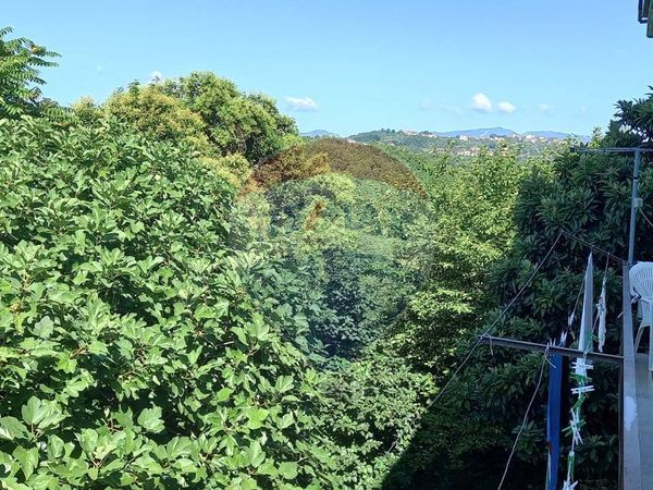 Appartamento Ceppaloni, BN Vendita - Foto 4