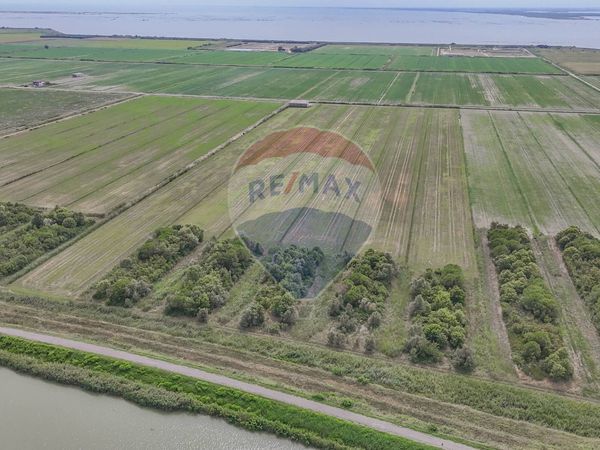 Terreno Goro, FE Vendita - Foto 4