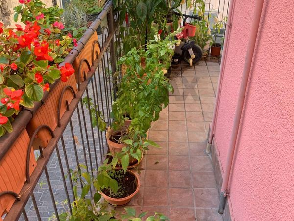 Appartamento Monzambano, MN Vendita - Foto 2