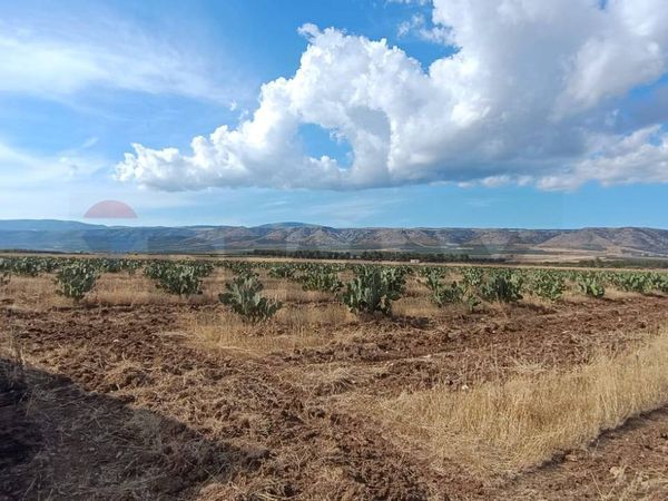 Terreno San Giovanni Rotondo, FG Vendita - Foto 4