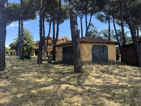Villa o villino Albano Laziale, RM Vendita - Foto 2