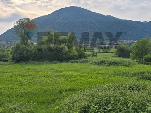 Terreno Brivio, LC Vendita - Foto 3