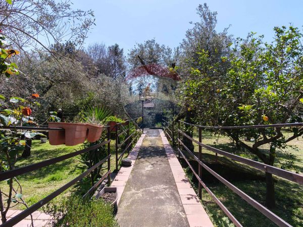 Villa singola Valverde, CT Vendita - Foto 3