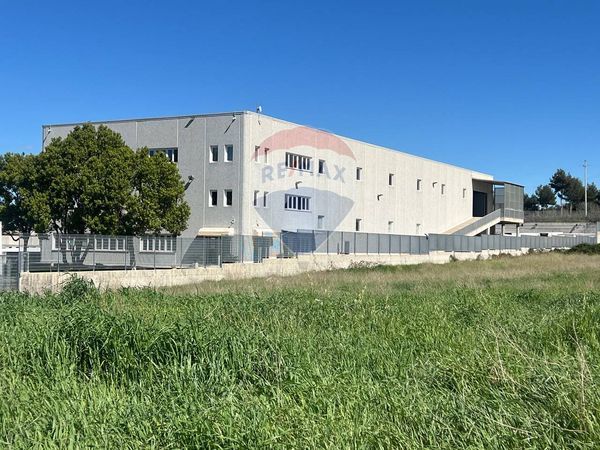 Commerciale Altro Laghetto, Monte Compatri, RM Affitto - Foto 2