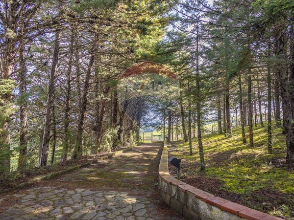 Villa singola Potenza, PZ Vendita - Foto 4