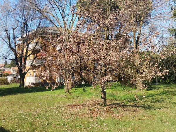 Appartamento Casorate Sempione, VA Vendita