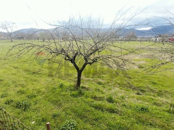 Terreno Padula, SA Vendita