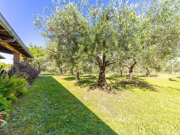 Villa singola Marino, RM Vendita - Foto 3
