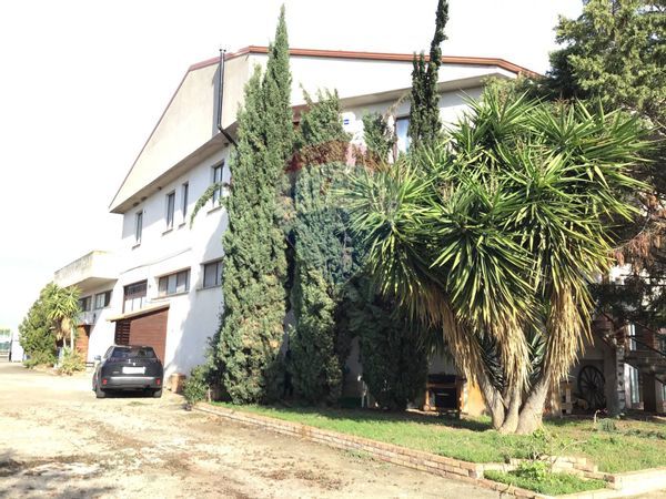 Capannone Industriale Corigliano-Rossano, CS Vendita - Foto 2