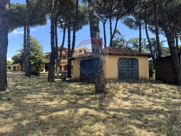 Villa o villino Albano Laziale, RM Vendita - Foto 2