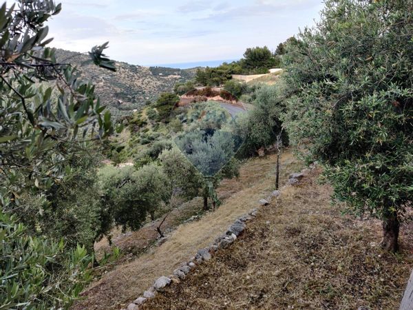 Rustico Mattinata, FG Vendita