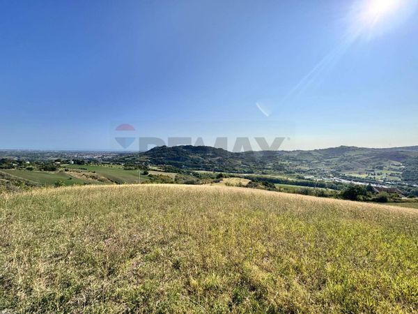 Terreno Poggio Torriana, RN Vendita - Foto 3