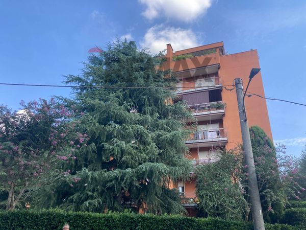 Appartamento Saronno, VA Affitto