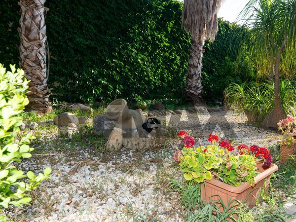 Casa Semindipendente Catenanuova, EN Vendita - Foto 3
