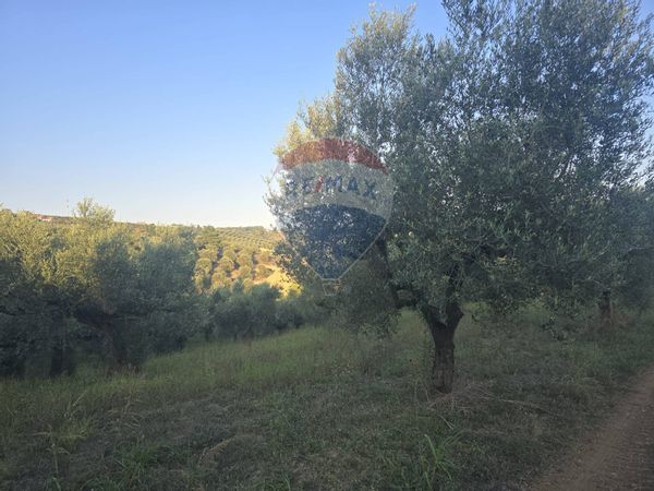 Terreno Selvaiella, Moscufo, PE Vendita - Foto 2