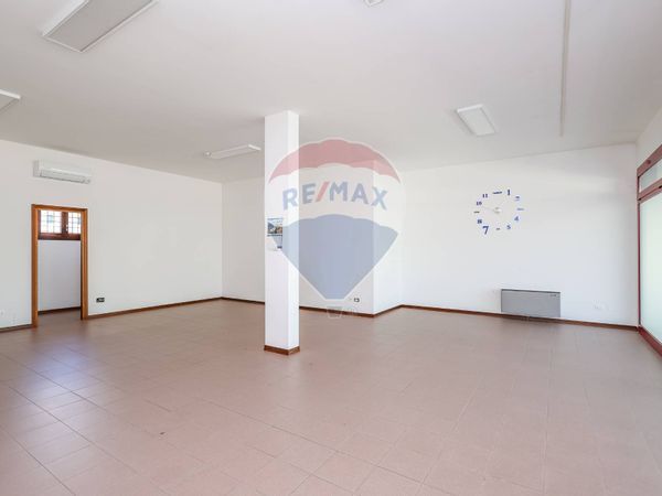 Negozio Mandriola, Albignasego, PD Vendita - Foto 3