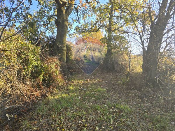 Cascina/Casale Morrovalle, MC Vendita - Foto 2