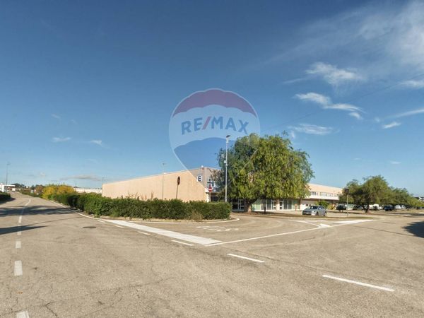 Commerciale Altro Città Sant'Angelo, PE Affitto